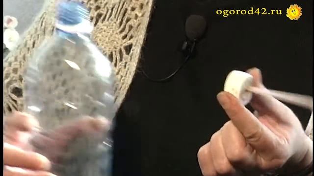 Уход за фиалками: подсветка, полив смотреть онлайн