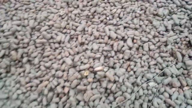 Подготовка пола к заливке полусухой стяжкой. смотреть онлайн