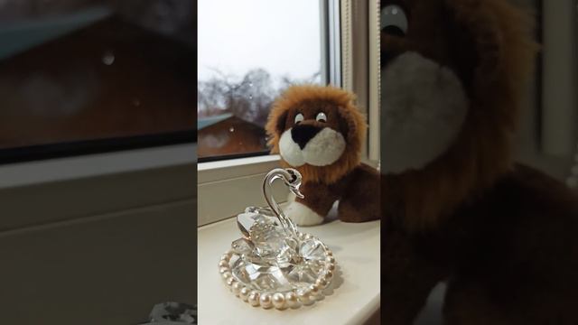 Непромокаемое женское пальто Ватерпруф ☔ случай из жизни ❤️ложись под одеялко) почитаю на 🌃 глядя смотреть онлайн