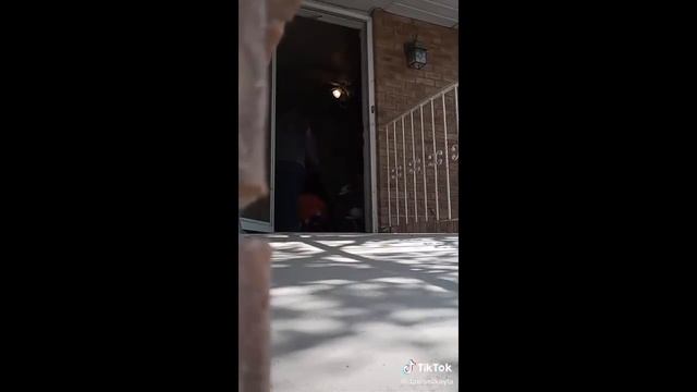 Drop baby off on grandparents door without telling them смотреть онлайн