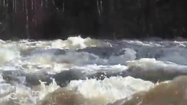 рыбная смотреть онлайн