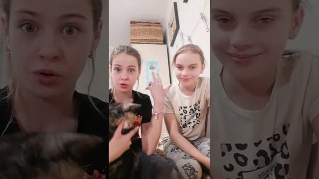 Моя кошка смотреть онлайн