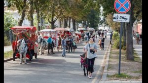 Canon 24-105mm f/4 | Этим НЕДОРОГИМ объективом я снимаю ВСЁ!