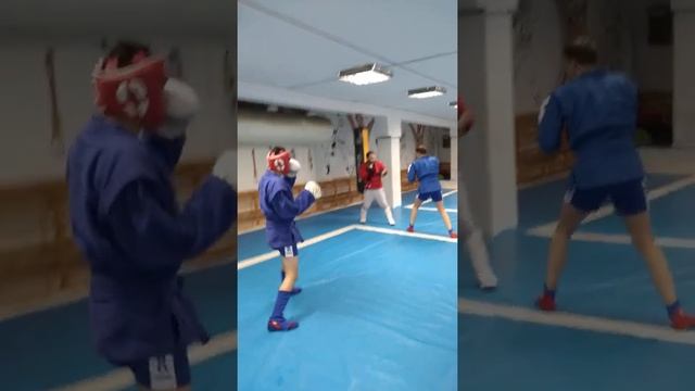 спаринговый день для начинающей группы боевого самбо смотреть онлайн