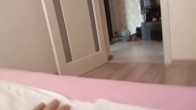 Не ласковая котейка смотреть онлайн