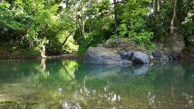 Красивая Расслабляющая Музыка. Нежный и крепкий СОН смотреть онлайн