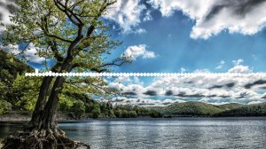 ТИМУР ХИДИРБЕКОВ - Х1У ДИЛА (2024)