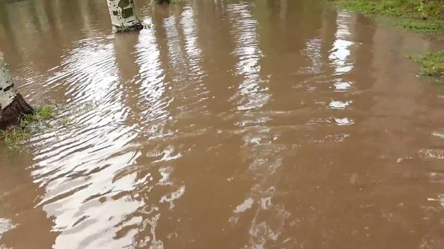 Зеленодольск Рыбалко