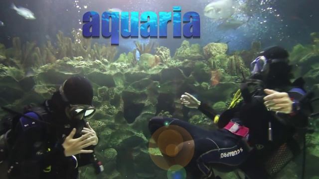 Visit Aquaria KLCC, Malaysia's Biggest Oceanarium смотреть онлайн