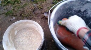 Как я делаю стартовый комбикорм для маленьких поросят 1,5-4 месяца.