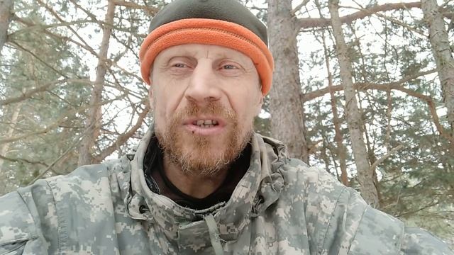 В лесу 28 февраля 2021 смотреть онлайн