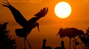 клип про Беларусь