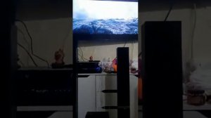 Звук с колонок Pioneer DCS-395K
