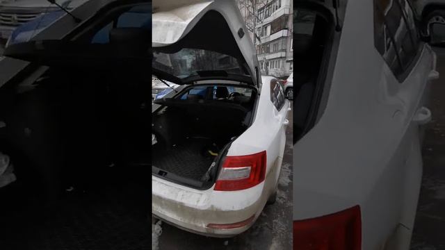 Газовые упоры от Зафиры Б на Октавию А7