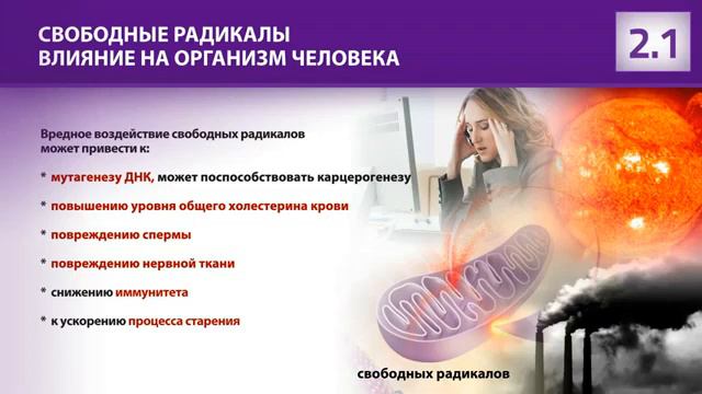 Как действует продукт МОНАВИ? Часть 1. смотреть онлайн