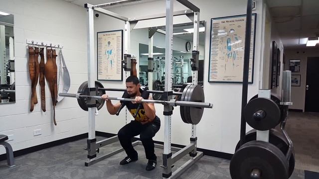 Hand-Supported Hatfield Squats смотреть онлайн
