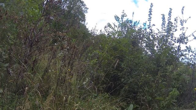 Bajaj Boxer bm150 Cross смотреть онлайн