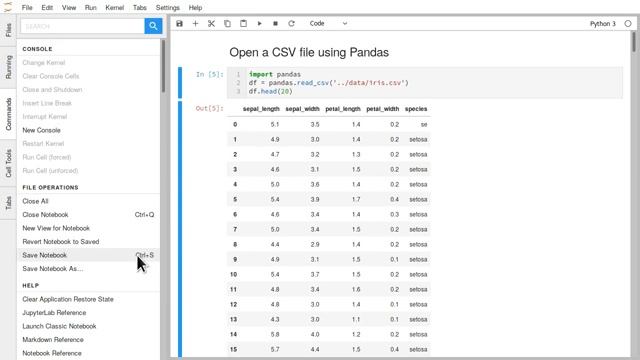 JupyterLab single-document mode смотреть онлайн