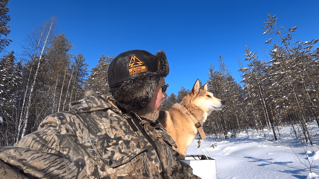 Поход в тайгу. Следы волка. Тулан радуется, вдоволь набегался. смотреть онлайн