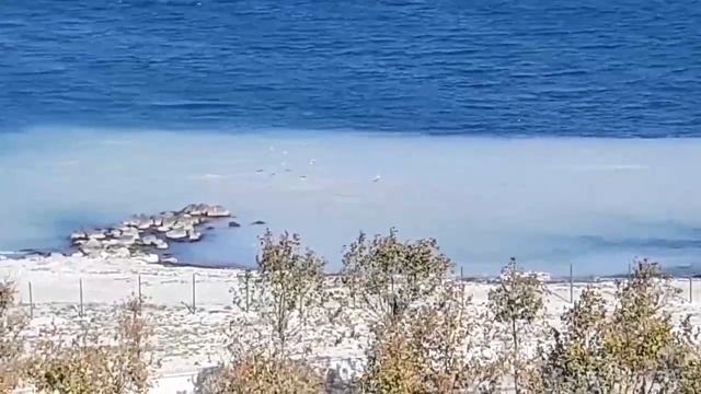 В Чёрном море появилось огромное пятно неизвестного происхождения смотреть онлайн