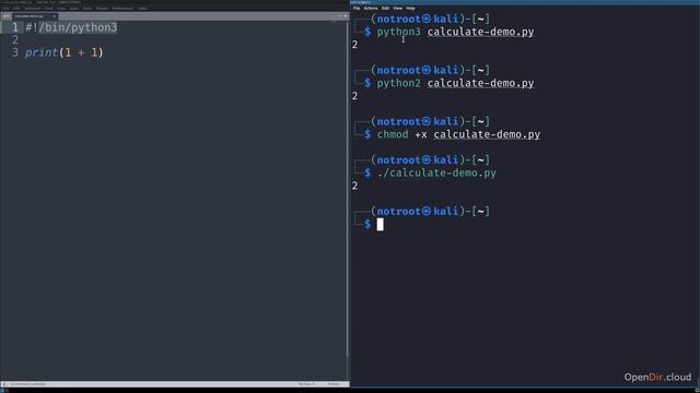 2.4-How to run a Python script смотреть онлайн