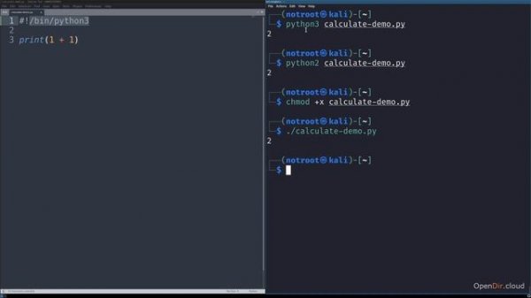2.4-How to run a Python script