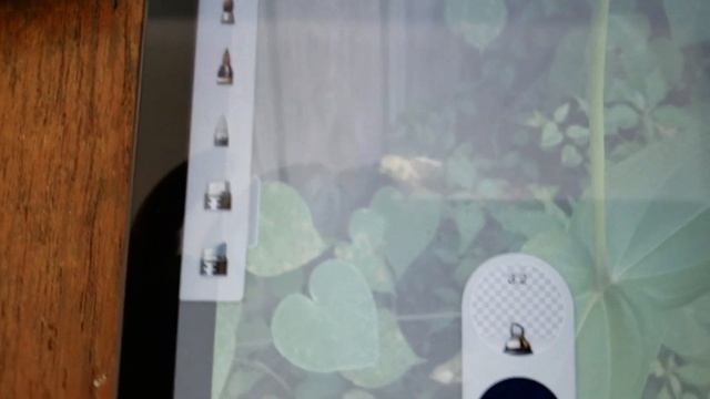 How to use Autodesk Sketchbook app to trace for art paintings - Free Art App! Tutorial 4 Beginners смотреть онлайн