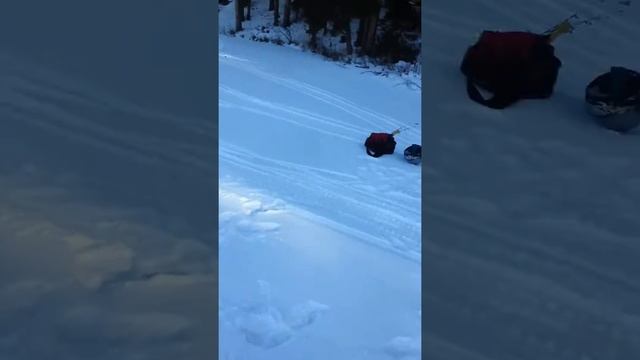 Jumping The 81 Citation