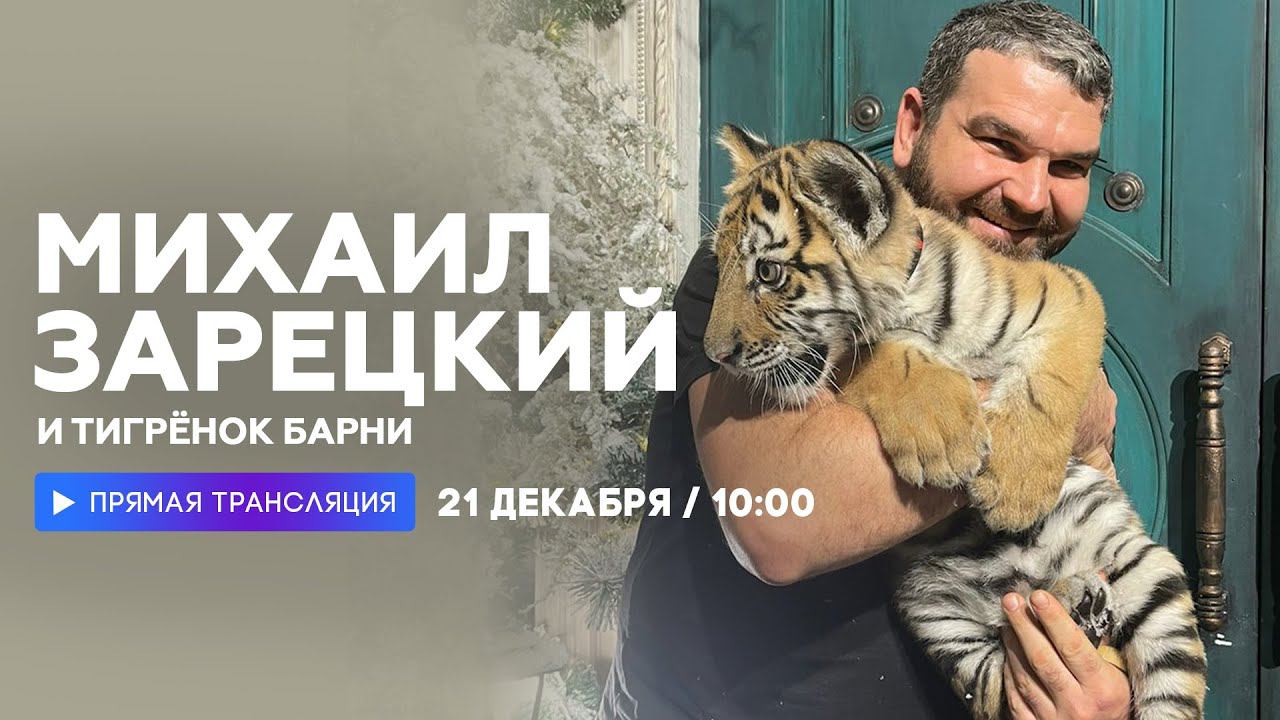 Интервью с воспитателем тигров Михаилом Зарецким  НАШЕ