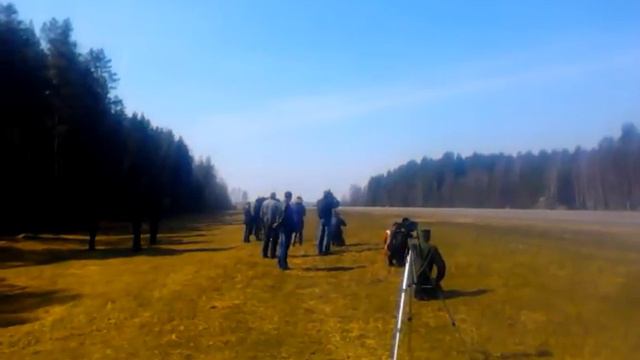 Беларусь. Посадка боевого самолета Миг на трассу М-1 смотреть онлайн
