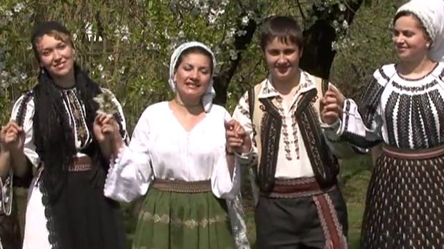 Sofia Plesu-Mai neicute obarsene смотреть онлайн