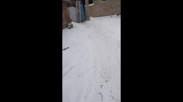いつ春が来るの/когда придет весна/when will spring come/2023.03.19 смотреть онлайн