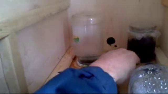 Весенняя подкормка пчел (2) Как накормить пчел земляничным вареньем смотреть онлайн