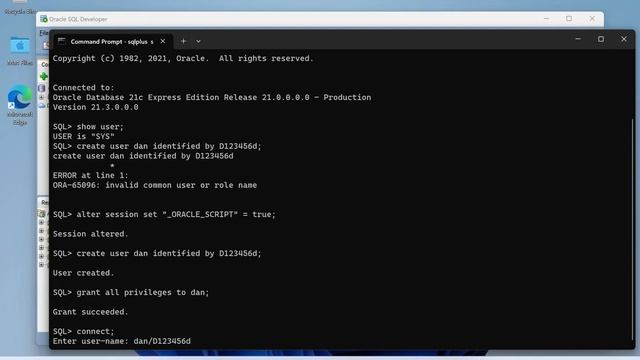 Create Database schema in Oracle 21c Express Edition смотреть онлайн