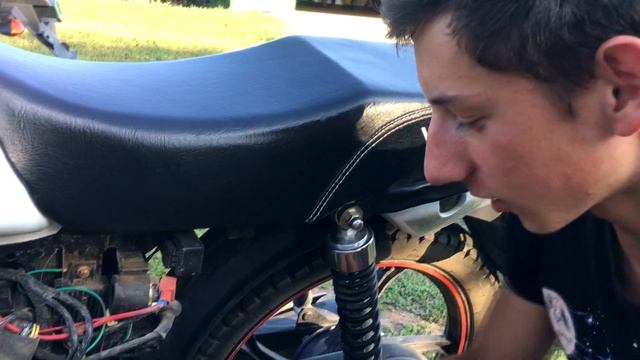 Дорожный весельчак