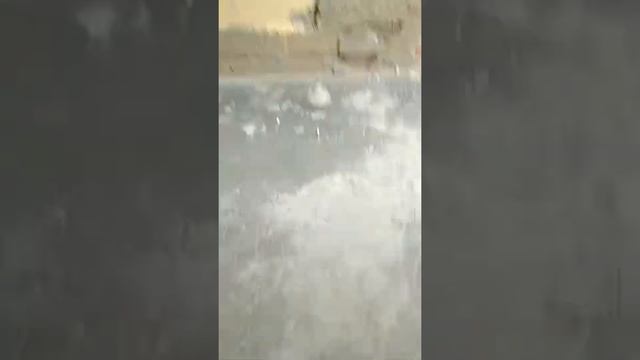 Обыски во ФСИН Петербурга/Searches in FSIN Petersburg смотреть онлайн