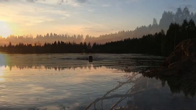 Отдых наедине с Природой. смотреть онлайн