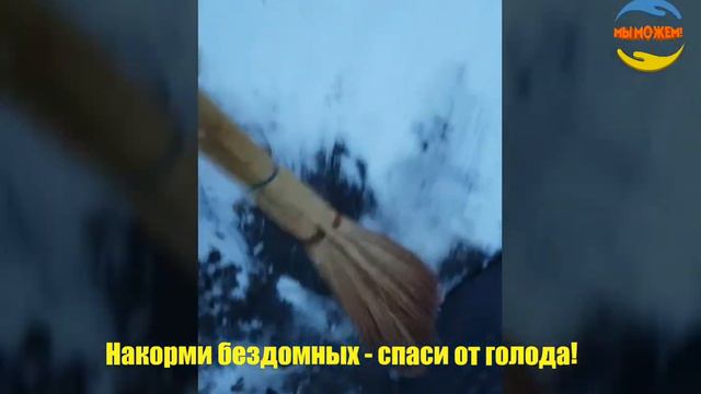 Покорми бездомных - спаси от голода! Не стесняйся своей доброты! смотреть онлайн
