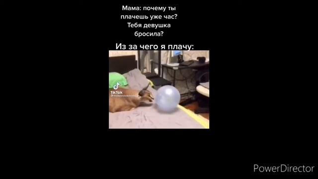 Смешные видео со шлёпой тт (часть 2) смотреть онлайн