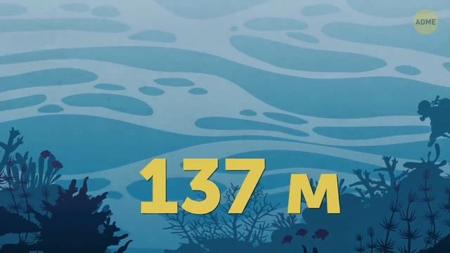 Как огромный самолет садится на маленькие шасси смотреть онлайн