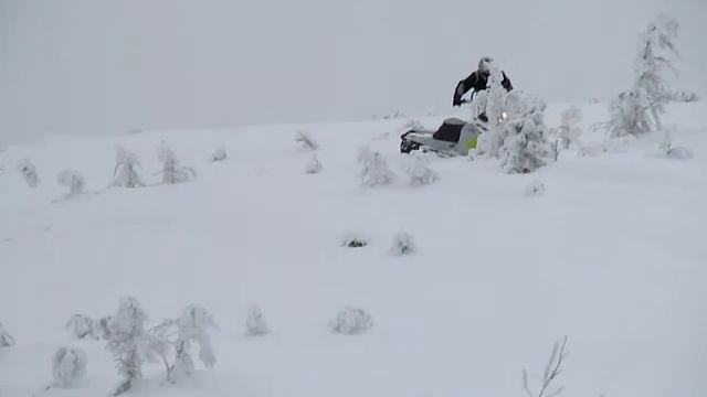 Кандалакша,учимся! смотреть онлайн
