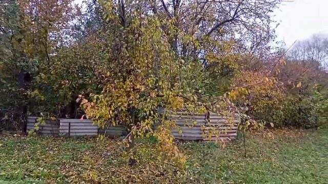 обзор участка, огород, сад, строения смотреть онлайн
