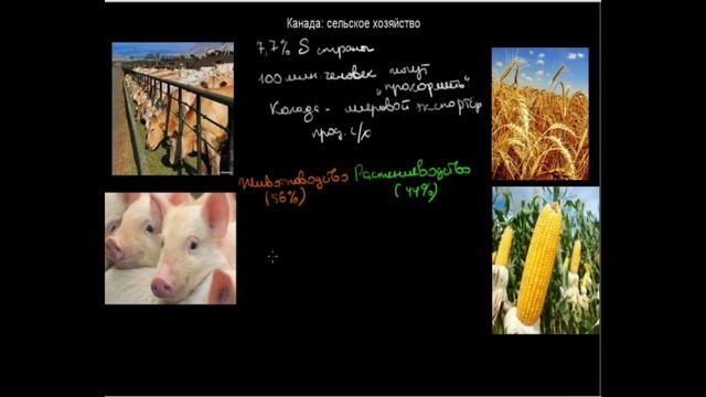 494 Канада сельское хозяйство смотреть онлайн