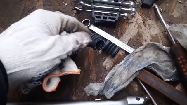 Лесные грибы: сокровищница природы