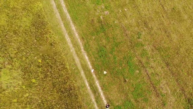 Volvo XC90 Adventure