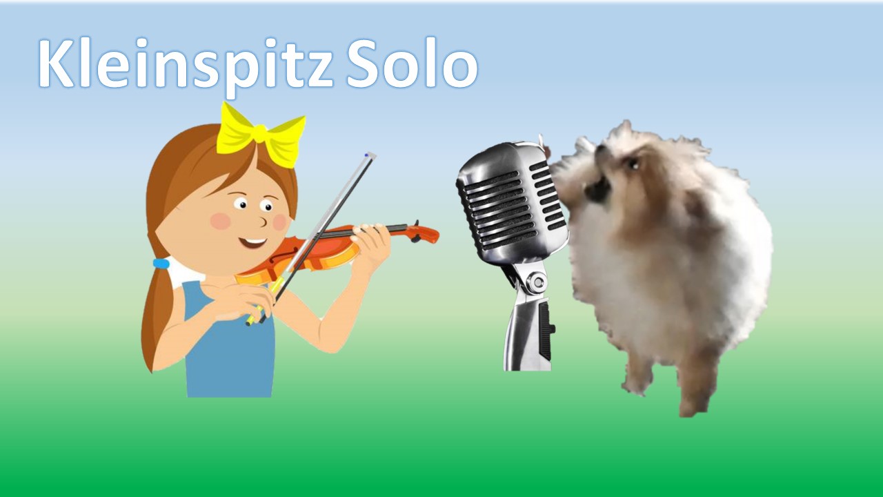 ШПИЦ и СКРИПКА или КАК ДОСАДИТЬ СОСЕДЯМ ;)