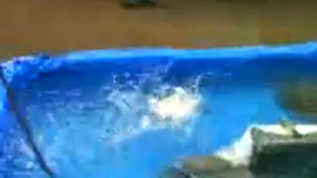 aqua robot by trilok смотреть онлайн