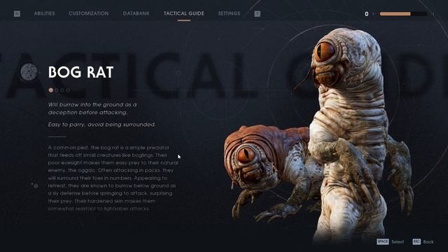 Jedi: Fallen Order - That Nonsense Frog! - Fetch Quest смотреть онлайн