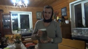 Медный купорос в лечении грибка, рака и проч  Микродозинг