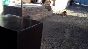 оружейный сейф своими руками.